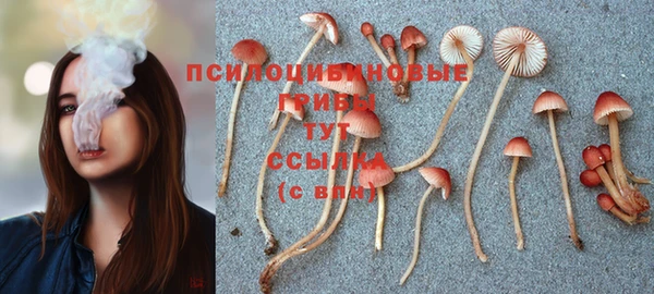 бошки Алексин