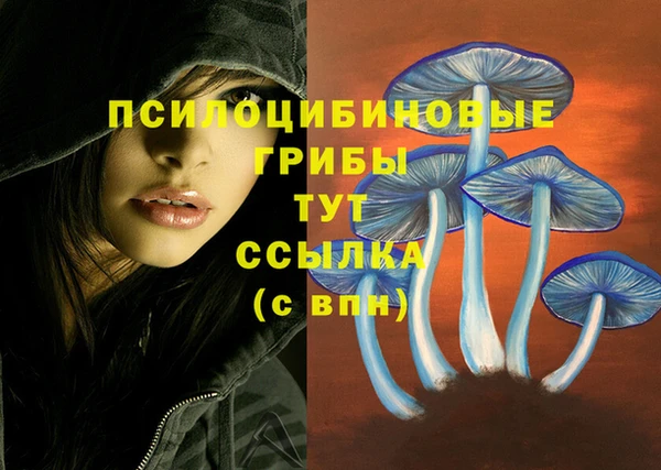 бошки Алексин