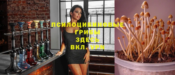соль ск Алексеевка
