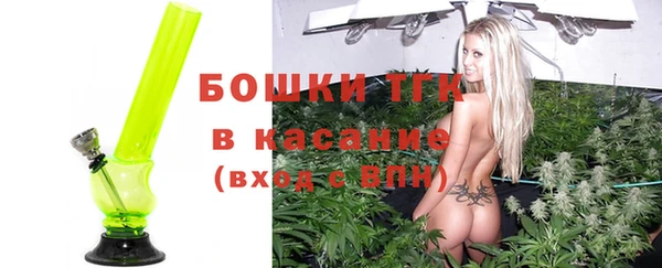 бошки Алексин