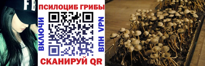 Галлюциногенные грибы Psilocybe дарнет шоп Кемерово